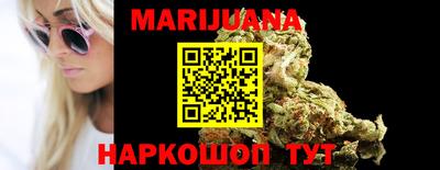 индика Будённовск
