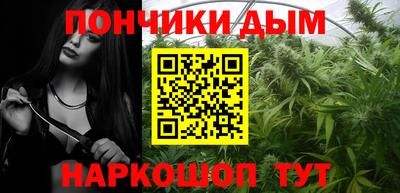 индика Будённовск